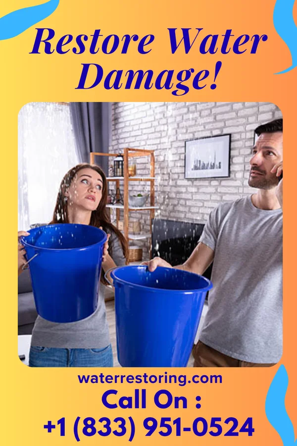 water restoration Falcon Damage Restoration Services North Miami
